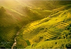 Mu Cang Chai appears picturesque through lens of foreign photographers