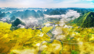 Discovering stunning ripening paddy fields of Bac Son valley