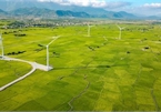 Ninh Thuan's wind farm proves a hit among young travelers