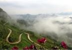 Exploring Quan Ba heaven gate amid a sea of clouds in Ha Giang