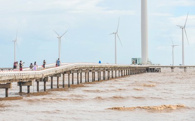 Exploring unique offshore wind farm in Bac Lieu