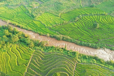 Discovering Chu Se terraced fields from height