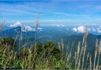 Exploring breathtaking scenery from Bach Ma mountain peak