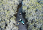 Discovering Bau Ca Cai mangrove forest