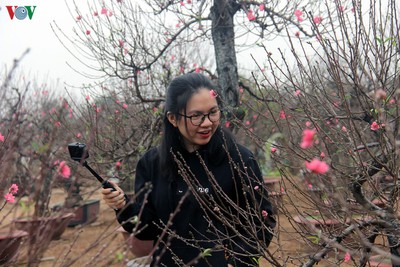 Crowds flock to Nhat Tan flower village as Tet draws near