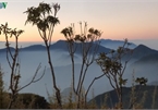 Viewing a spectacular sunset from Ky Quan San mountain