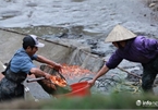 Business booms in red carp farming village ahead of Kitchen Gods Day