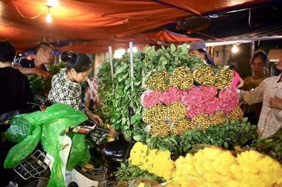 Hanoi's largest flower market enjoys bustling atmosphere ahead of Tet