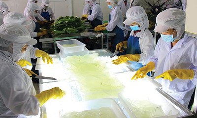 Fresh capital injections to avail of opportunities from EVFTA