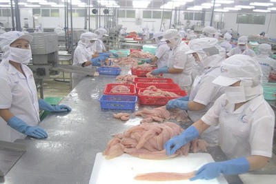 US postpones assessment of Vietnam’s tra fish safety