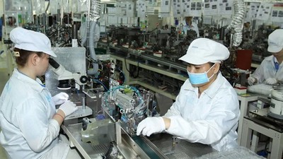 FDI enterprises in Vietnam preparing for life after pandemic