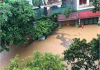 Severe flooding halts hydropower plant in northern Vietnam