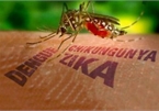 First Zika virus infection detected this year in Vietnam