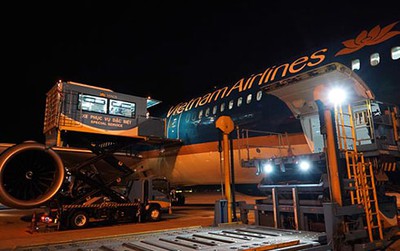 COVID-19: Recovered British pilot leaves Hanoi for hometown