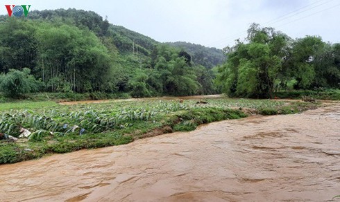 flash floods, landslides kill 3 in northern vietnam hinh 1