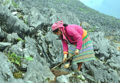 mong ethnic people cultivate on rocks hinh 1