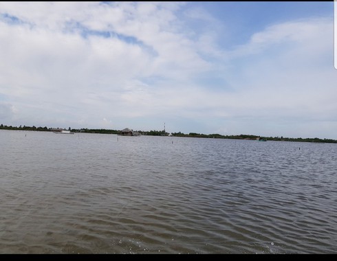 thi tuong lagoon – a major tourist attraction in ca mau province hinh 0