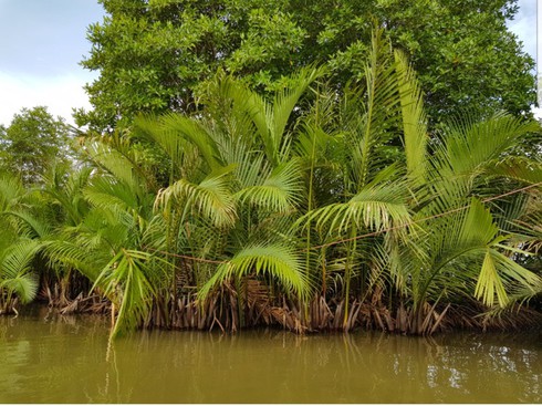 thi tuong lagoon – a major tourist attraction in ca mau province hinh 1