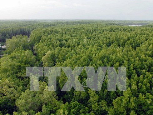 vn’s national forest stewardship standard effective from may hinh 0