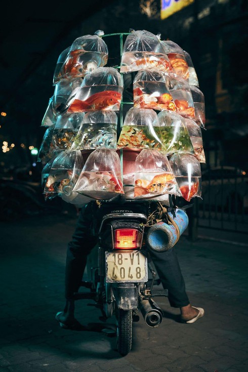 photograph of vietnamese fish seller wins grand prize at smithsonian contest hinh 0