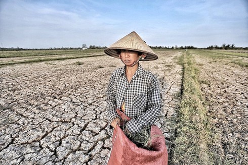 mckinsey: 8-13% of asia gdp to be at risk from climate change by 2025 hinh 0