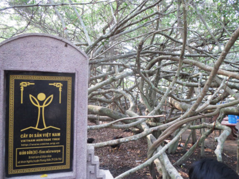 gian gua – a former revolutionary base in can tho city hinh 2