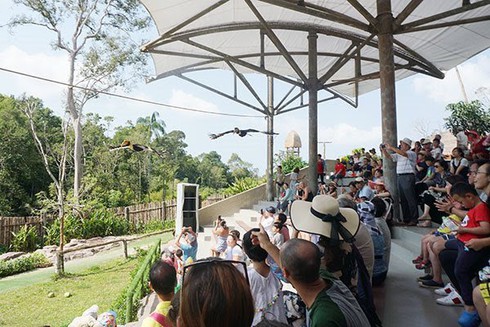 tourism operators pin hopes on domestic segment after eradication of covid-19 hinh 0