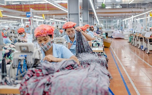 rules of origin trip up garment and textile opportunities from evfta hinh 0