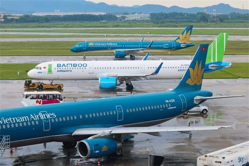 airlines struggle to survive coronavirus outbreak hinh 0