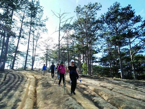 ta nang – phan dung, a scenic trekking route hinh 0