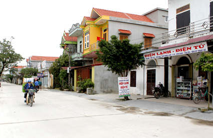 Ninh Bình hỗ trợ các xã xây dựng nông thôn mới - ảnh 1