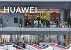 Hãng sản xuất chip khổng lồ TSMC ngừng thực hiện các đơn hàng mới của Huawei
