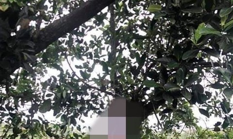 Phát hiện thi thể nghi người cha sát hại 2 con ở Vũng Tàu