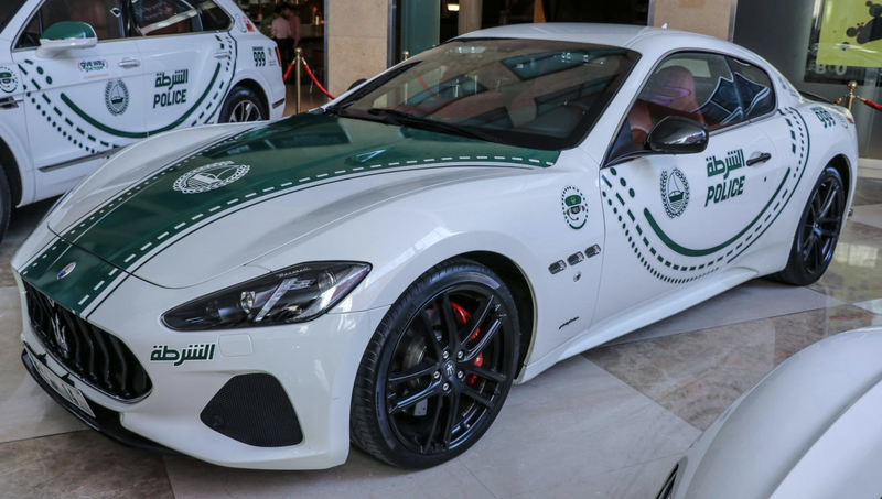 Cảnh sát Dubai khoe xe ở triển lãm Dubai Motor Show - ảnh 4