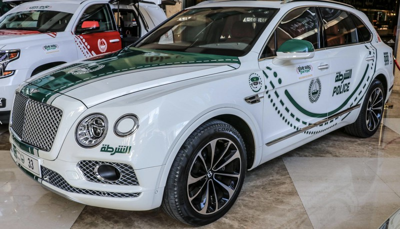 Cảnh sát Dubai khoe xe ở triển lãm Dubai Motor Show - ảnh 5