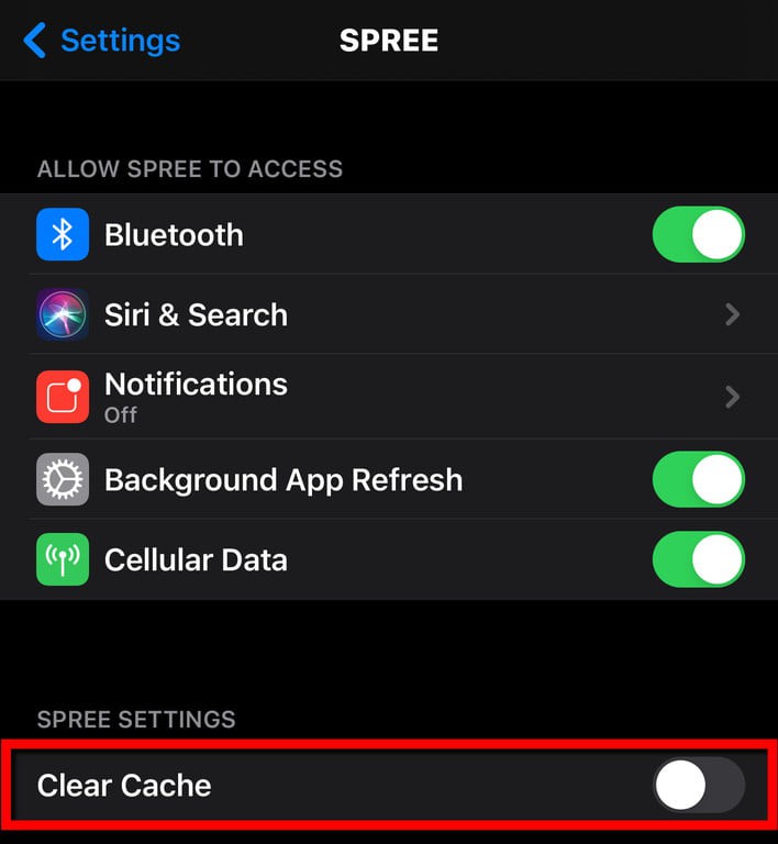 Cách xóa bộ nhớ cache trên iPhone ảnh 4