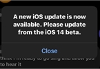 Người dùng khó chịu vì iOS 14 beta tiếp tục xuất hiện lỗi thông báo cập nhật giả