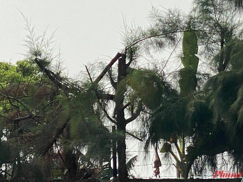 Nơi xảy ra tai nạn đáng tiếc