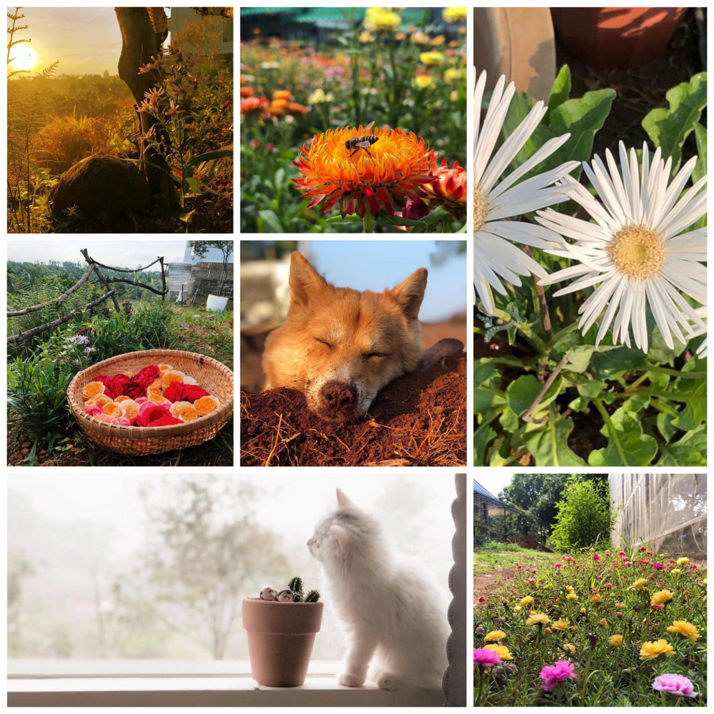 Chẳng ước mong gì hơn, anh thích cảm nhận cuộc sống bình yên trôi qua mỗi ngày (Ảnh nhân vật cung cấp)