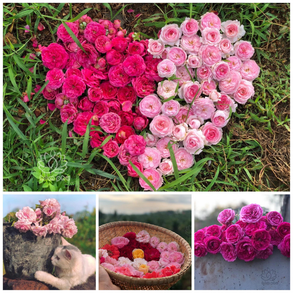 Phu gọi cuộc sống này là một đặc ân (Ảnh nhân vật cung cấp)