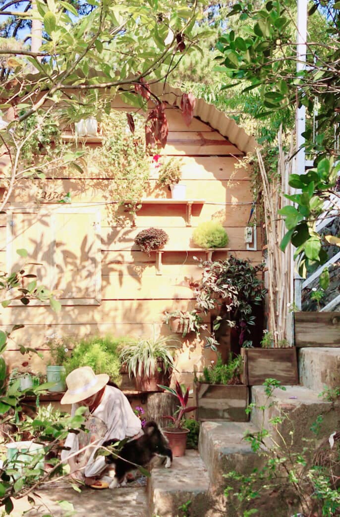 Ngôi nhà nhỏ của đôi bạn trẻ luôn rộng cửa đón du khách tới trải nghiệm cuộc sống yên bình (Ảnh nhân vật cung cấp)