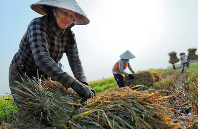 Một stylist làm dậy sóng dư luận với phát ngôn về người lao động Việt Nam