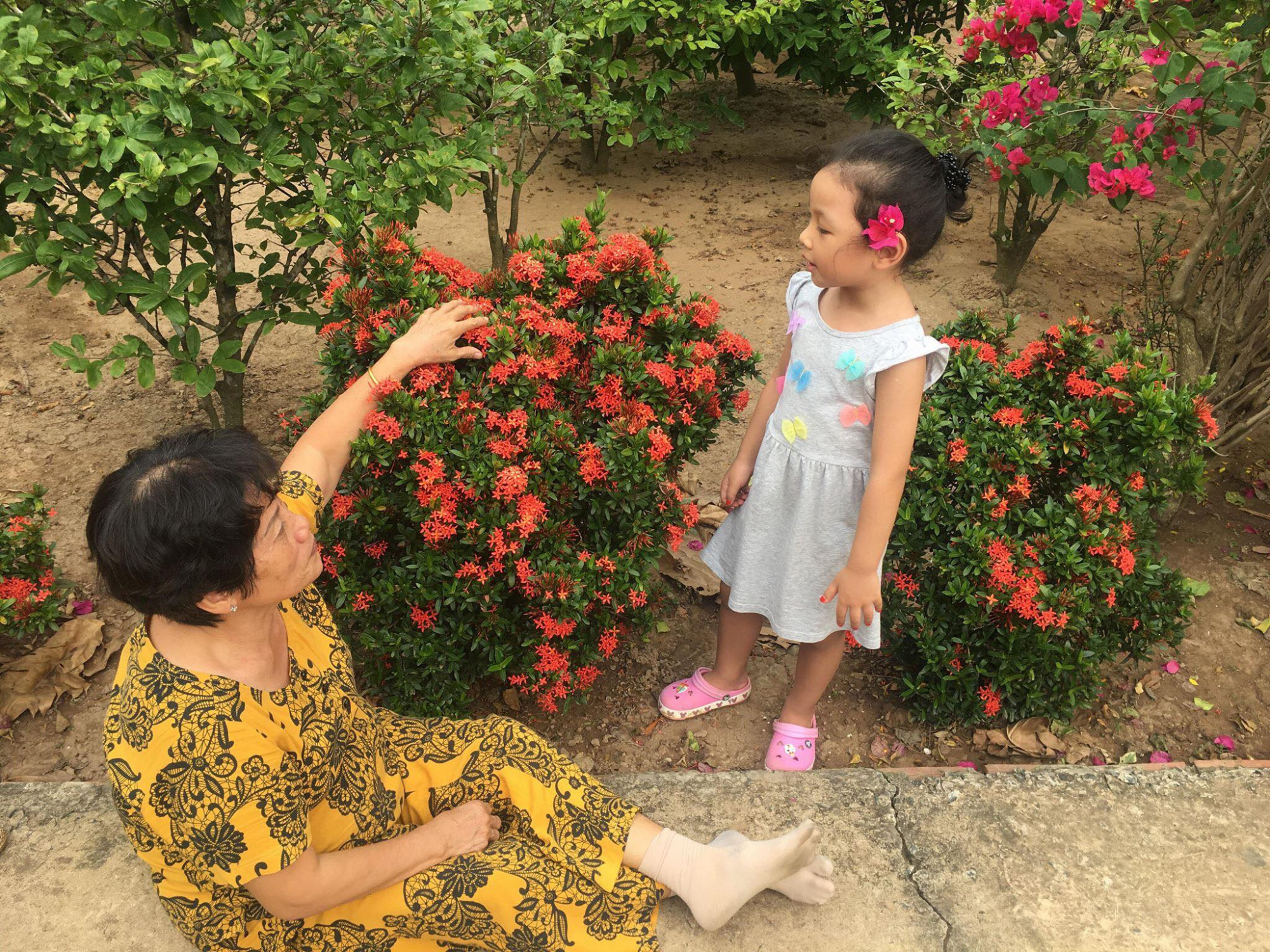 Mỗi năm đến hè là bà giành phần trông cháu cho con gái rảnh tay