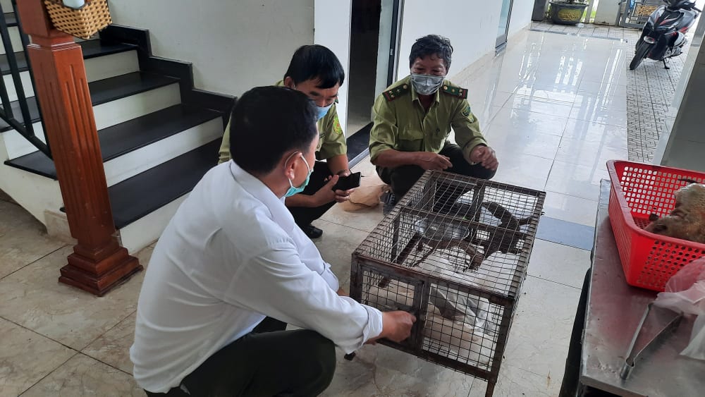 Hạt Kiểm lâm thị xã Hương Thủy (Thừa Thiên- Huế) phát hiện, lập biên bản hành vi vi phạm