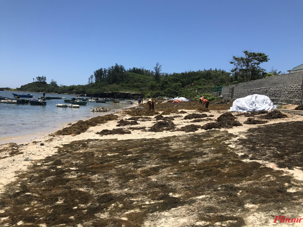 Địa phương mong muốn có nhà máy để tiêu thụ sản phẩm cho người dân