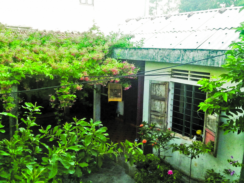 Ngôi nhà đó dột nát, tôi cũng từng gom góp tiền cho anh hai sửa sang, để má có chỗ ở tươm tất hơn