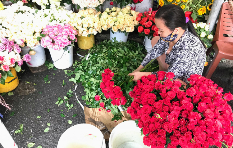 Hoa Đà Lạt 'cho không', về Sài Gòn muốn mua rẻ phải ra lề đường