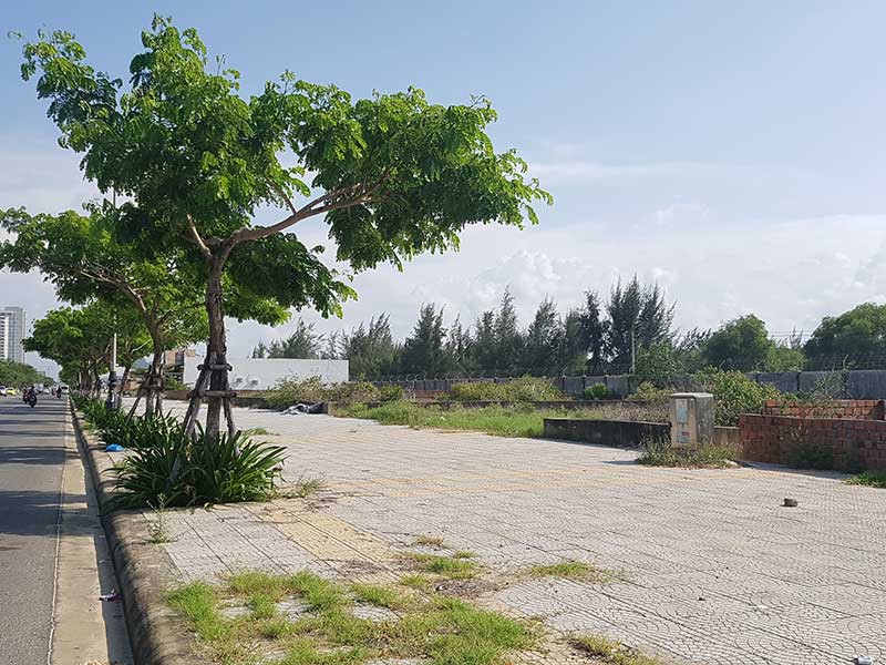 Người Trung Quốc thâu tóm đất ven biển Đà Nẵng? - ảnh 1