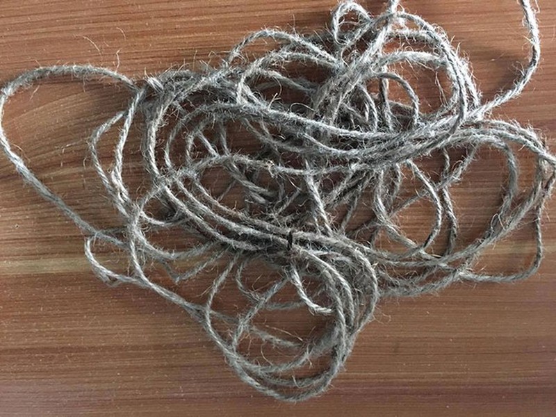 Chết tức tưởi vì xin đi nhờ xe… kẻ cướp - ảnh 1