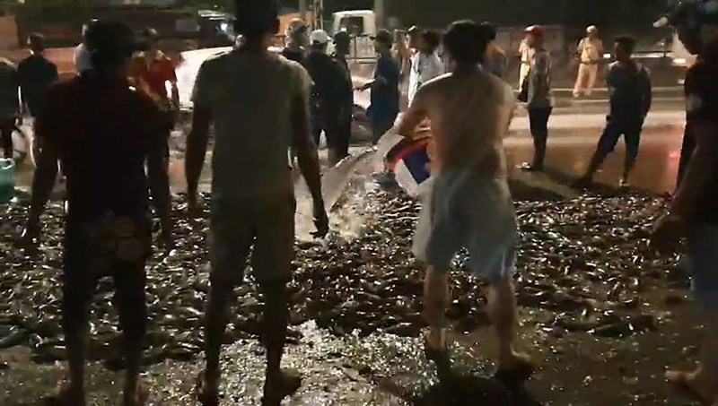 Xe tải lật ngang, gần 3 tấn cá rô bò lổn nhổn trên quốc lộ, - ảnh 2